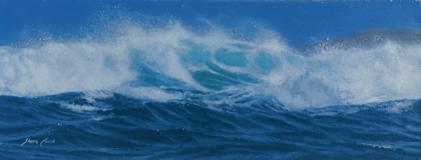 Couch, Shane: Sennen Cove