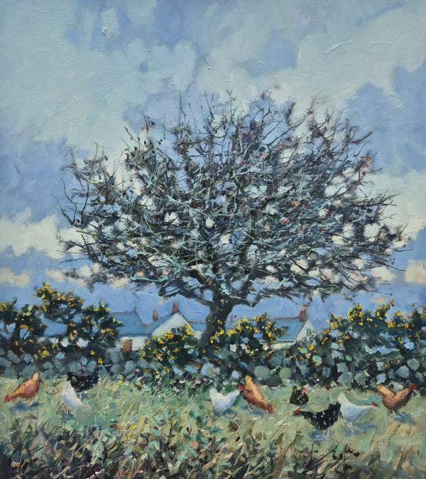 Hawthorn & Chickens, Trewalard Farm