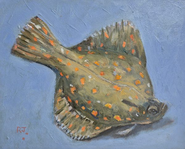 Plaice oil on board