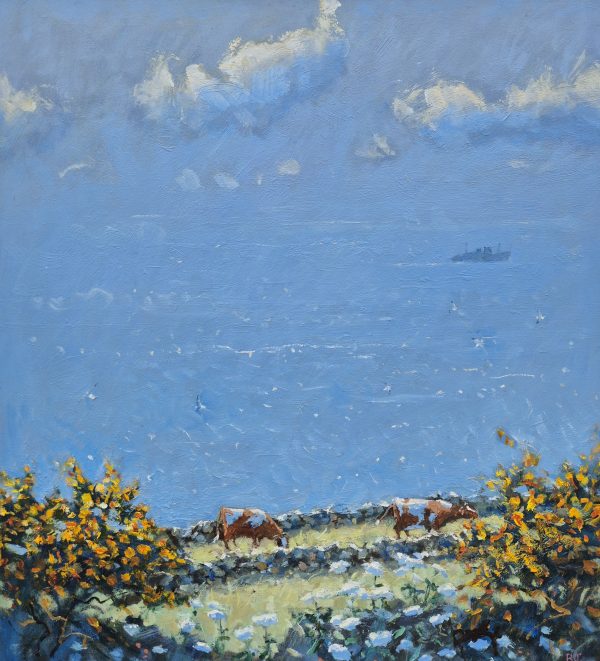 Sea, Gorse & Cows, Isles of Scilly